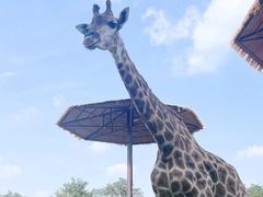 -济南野生动物世界