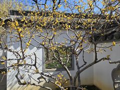 -无锡梅园公园