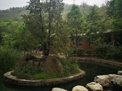-白水寺森林公园