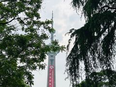 -南京古林公园