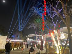 -三圣花乡旅游区