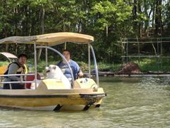 -上海海湾国家森林公园