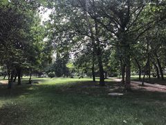 -曲阜师范大学(曲阜校区)