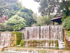 -成飞公园