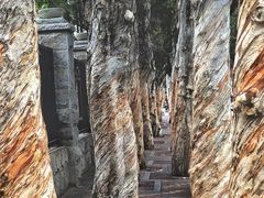 -集美学村