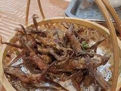 -新城餐厅(吉祥北街店)