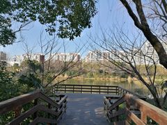 -新江湾城公园