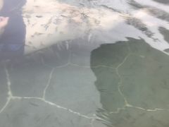 -苏州湾王焰温泉度假酒店