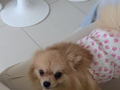 -怪兽屋·羊驼·猫咖·狗咖(俊华广场店)