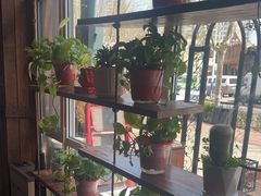 -77号渔船·蒸海鲜青岛菜(积米崖店)