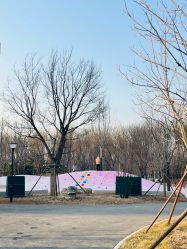 -大望京儿童游乐场