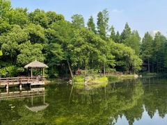 -上海滨江森林公园
