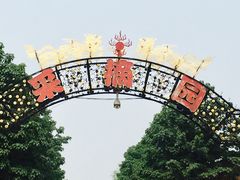 -万源龙顺度假庄园生态观光园