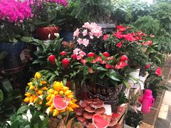 -秦美花卉(天朗·莱茵小城2期店)