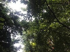 -徐鼎盛民间菜(南坪后堡店)