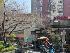 -玛格萝妮比萨屋(四平店)