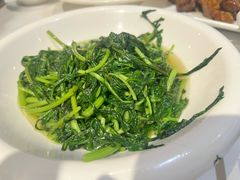-月湖翠·上海菜(思南公馆淮海店)