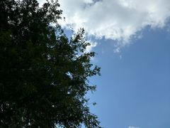 -苏州湾体育公园