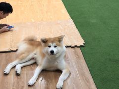 -YCHL Studios健身工作室(市二宫店)
