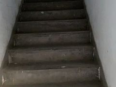 -上海交通大学医学院附属仁济医院(南院)