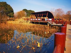 -长兴太湖图影湿地文化园