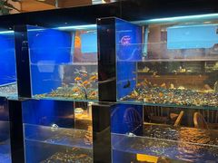 -蚝翅·海鲜粥·烧烤·龙虾季(海曙天一店)