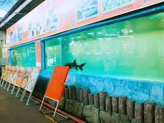 -年辉渔村·非遗传承餐厅(新丰江店)