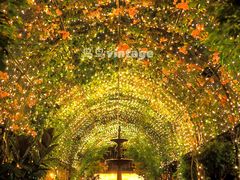 -The Grounds of Alexandria