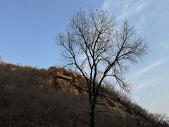 -白水寺森林公园