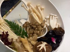 -洪氏嗨捞·猪肚鸡火锅(阳光天地店)