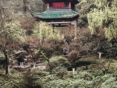 -岳麓山风景名胜区