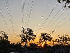 -宝安西湾红树林湿地公园