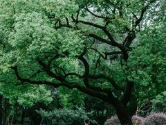 -华东政法大学(松江校区)