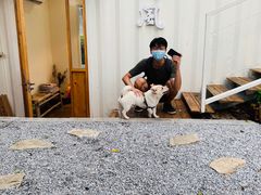 -椿风·养身茶饮(吉大店)