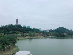 -顺峰山公园