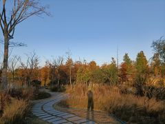 -上海长兴岛郊野公园