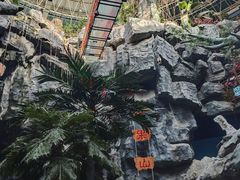 -长春中泰海洋世界