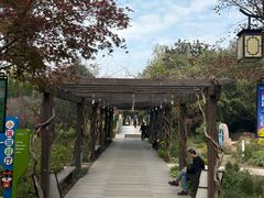 -白马涧龙池景区