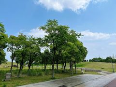 -滆湖低碳生态公园