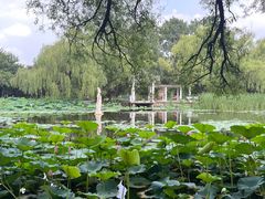 -北陵公园