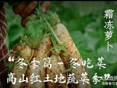 -滇铺子·云南特色菜·第九届野生菌美食节(曲靖万达店)