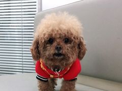 -爱侣宠医·鹦鹉专科·小型哺乳类·异宠专科(灵石路店)