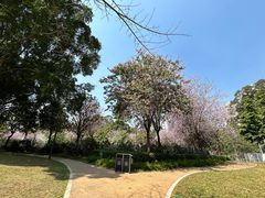 -景田北六街公园宠物主题园