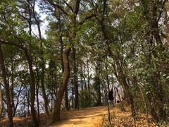 -灵岩山风景区