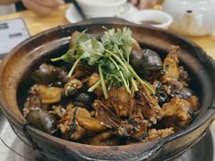 田螺焖鸡-棠记大排档(海珠店)