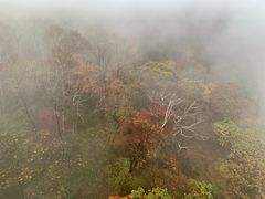 -丹东天桥沟景区