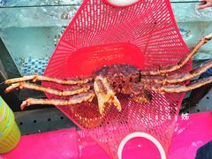 -顺德了能馆(虎门店)