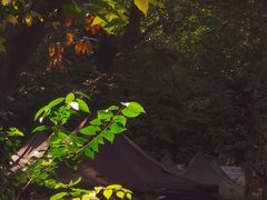 -兴福老面馆(寺路街店)