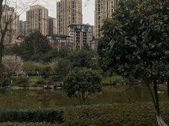 -龙头寺公园