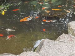-青青世界